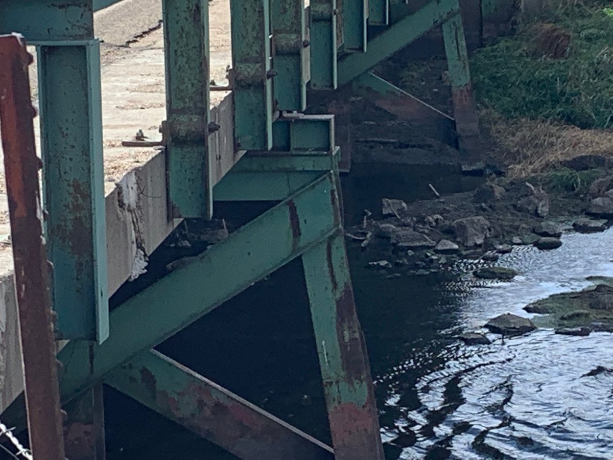 odi090704 tweet media