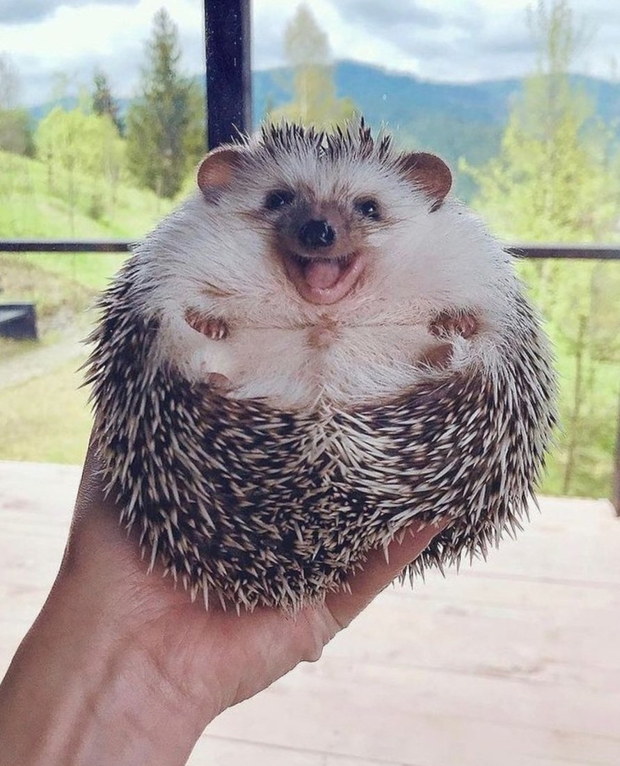 HootHenry's tweet photo. @charliersmith1 Keep on smiling 😃 https://t.co/nkBrbFzsK0