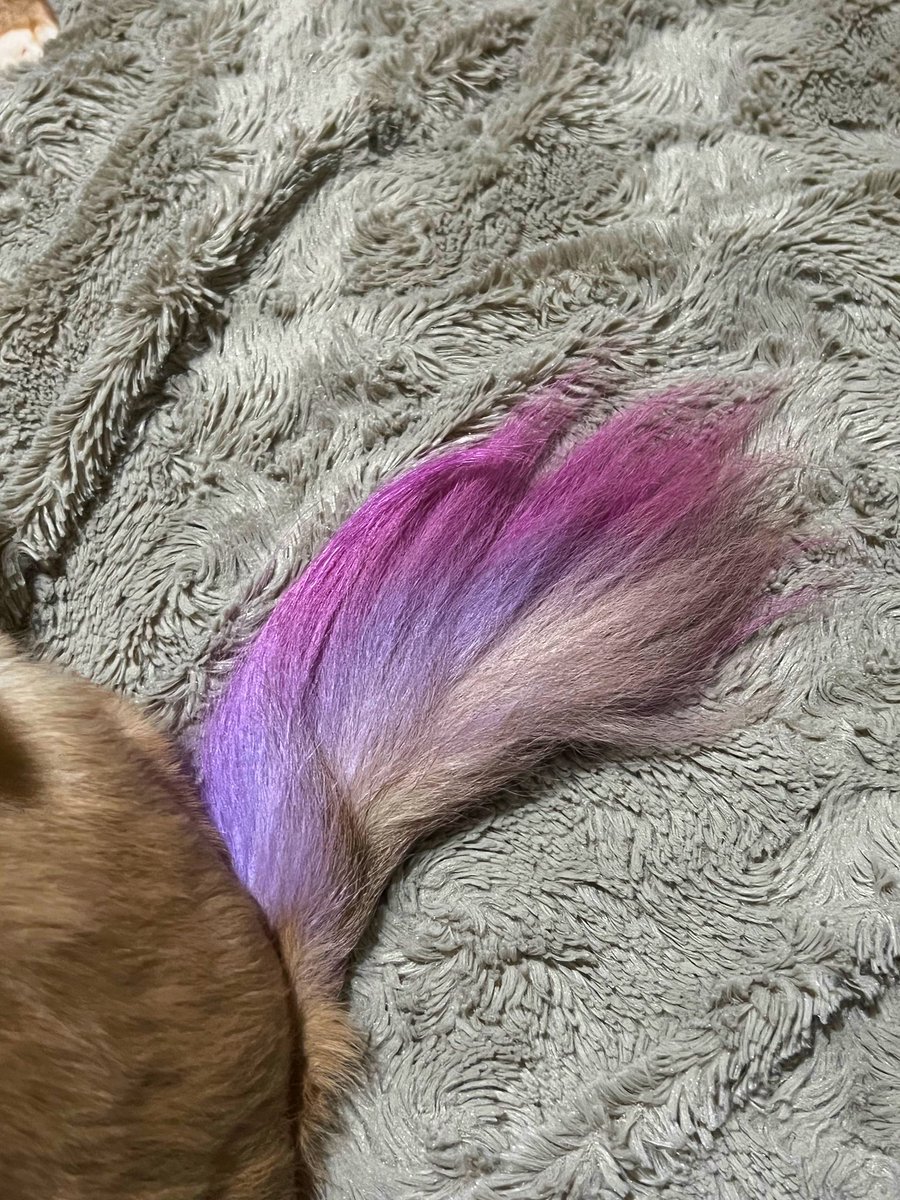 Content from ladyzed