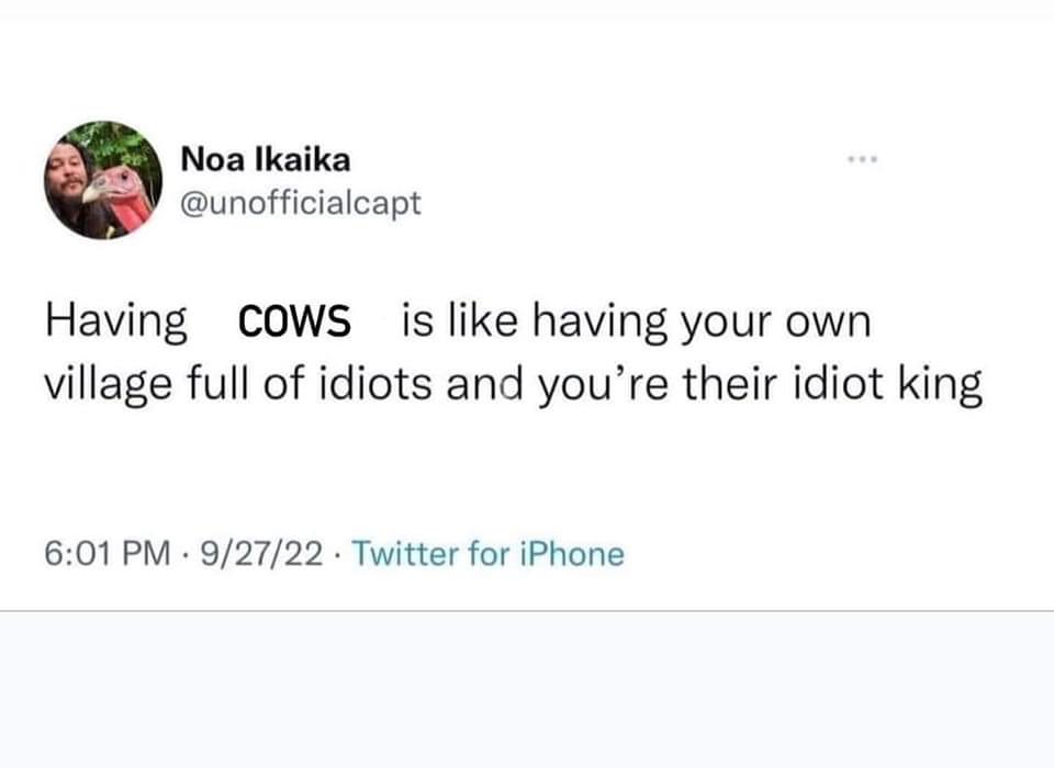 MMMatlock's tweet image. 