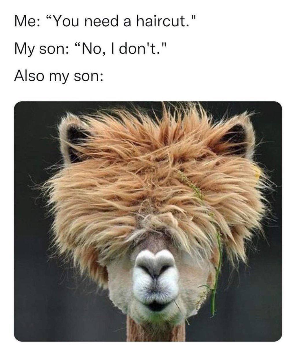 joshua_grzywa's tweet image. Every conversation on the way to the barber w/ the Dude..... #lol #weirdhumor #betterthanpolitics #dadmoments #lovemyson