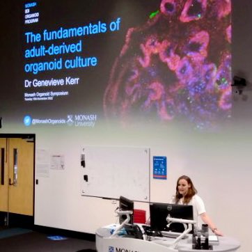 Monash BDI Organoid Program tweet media