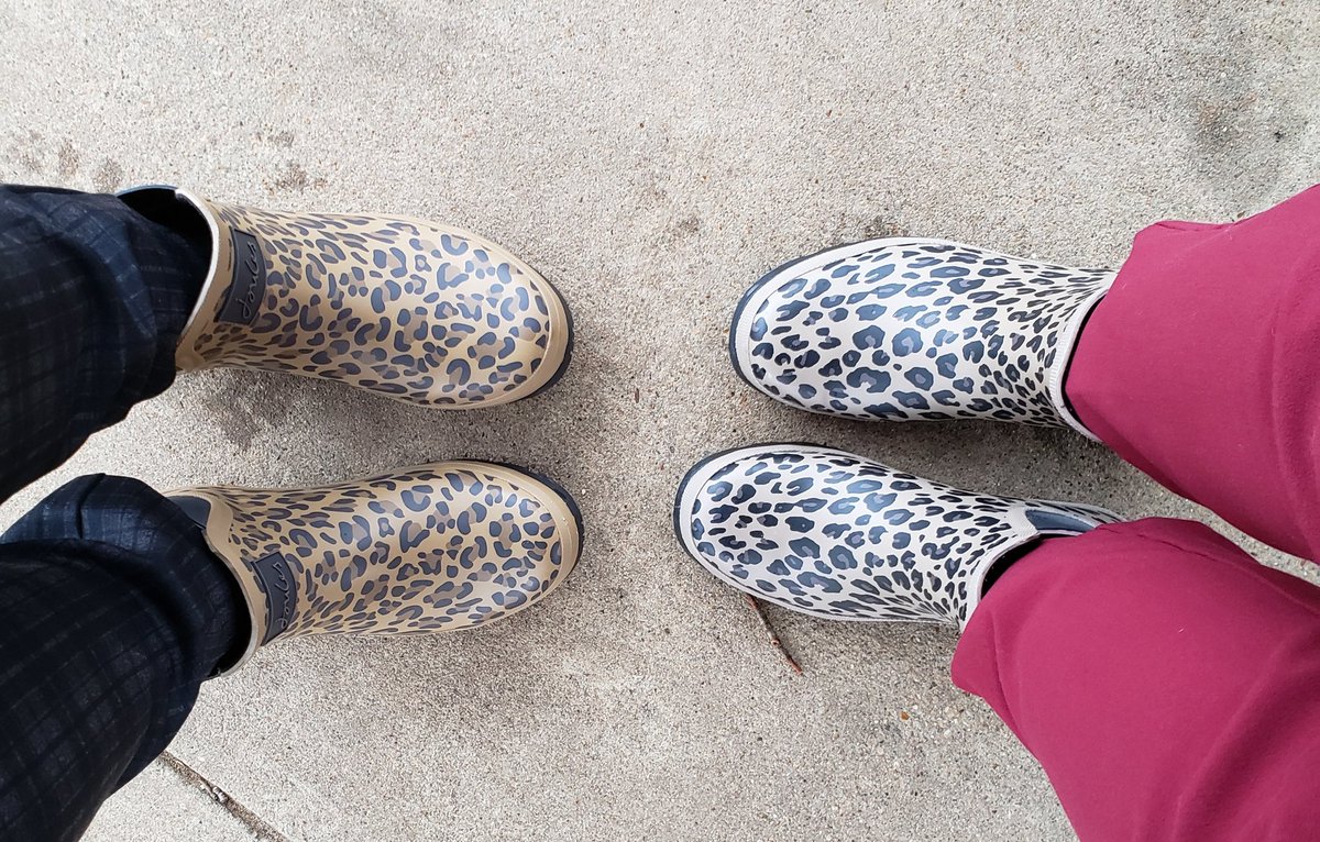 Deborah Schnitzer tweet media