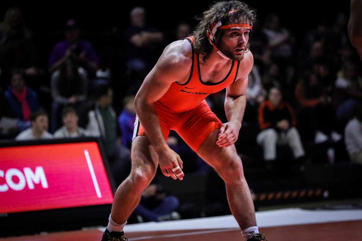 BeaverWrestling tweet picture