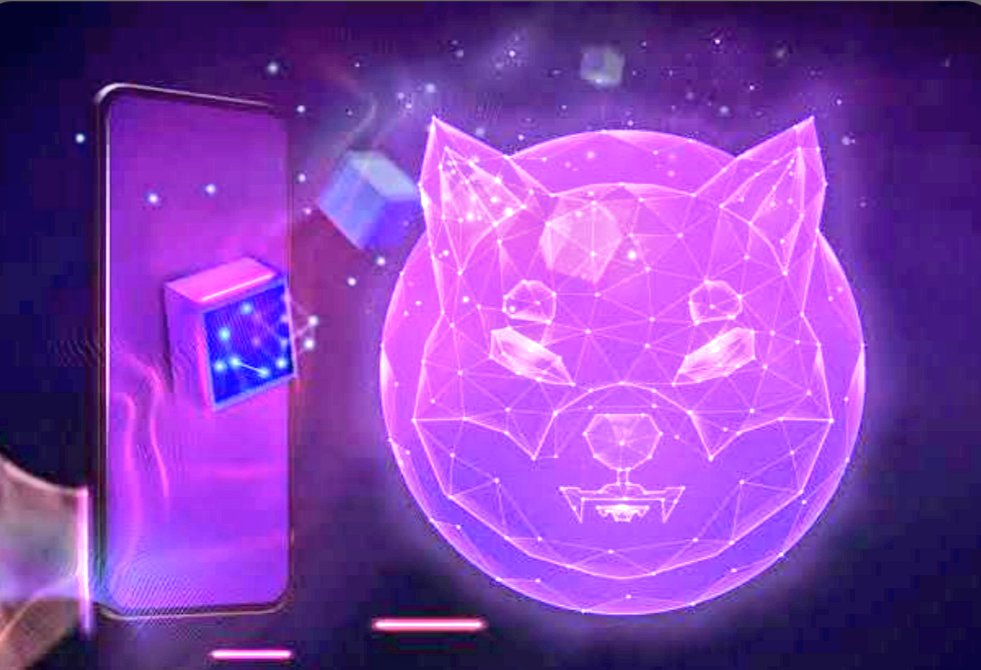 SHIB_NEO's tweet photo. $SHIB is Royale #Crypto #ShibArmy 👑 https://t.co/bOygec25hc