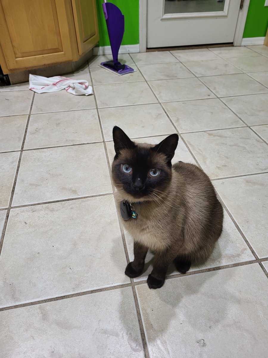 ToebeanSquiggy's tweet photo. Hewo https://t.co/OFp2zqqyVS
