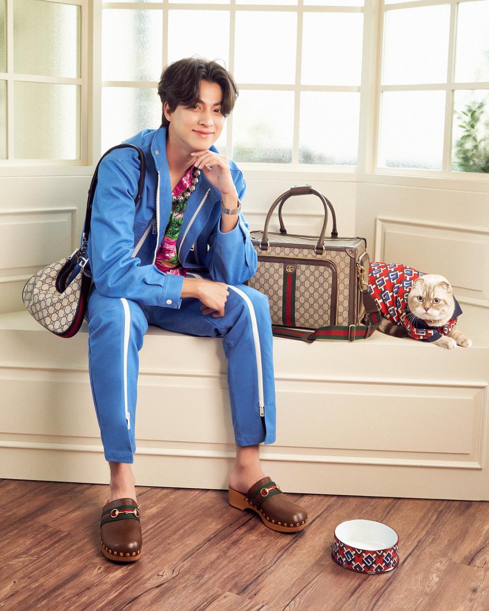 hazard_FanClubb's tweet photo. 🐾:Papa Have a Good time in Sydney! Missing you. Maybe next time I can tag along with you:) I'm also a handsome model naa😹
GULF IN SYDNEY
#กลัฟอินซิดนีย์Day3 #กลัฟคณาวุฒิ
#Gucci @gucci #GulfKanawut #GucciGarden @gulfkanawut #Hazardisacat #GucciPets https://t.co/IQSHn4TGPh