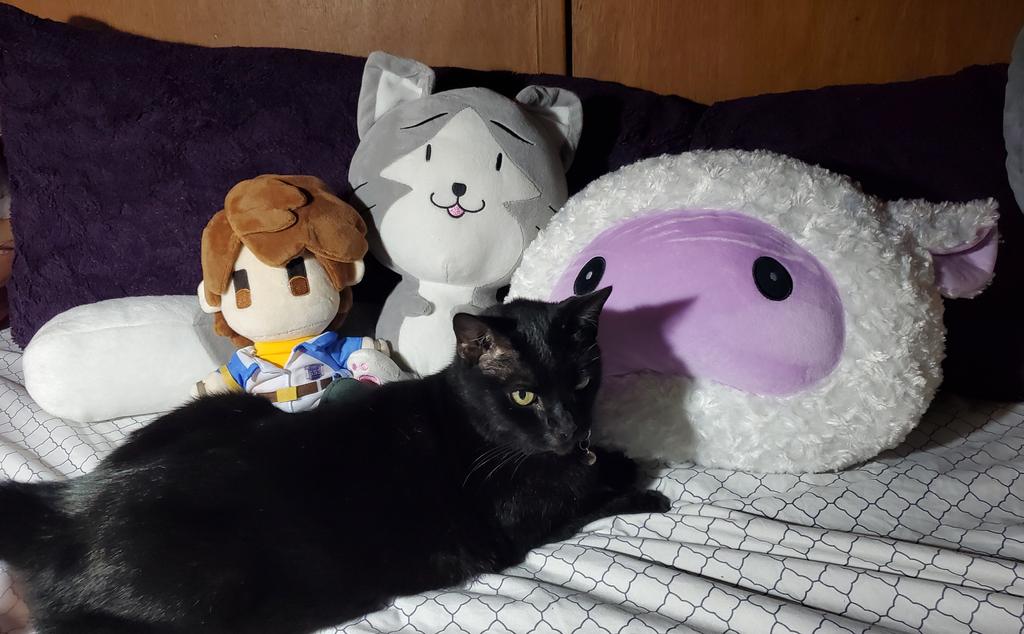 ArkrideVan's tweet photo. @NISAmerica This is my kitty Shadow 🐈‍⬛️ she loves to get cozy with me while I play video games especially Trails ❤️❤️❤️ #TrailsToAzure #CrossbellPets https://t.co/DaCaHGE8xk