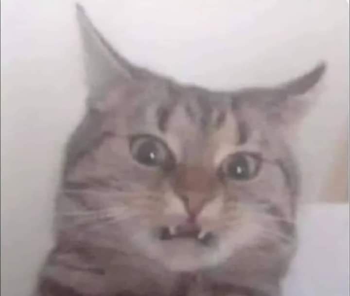 Verga, cuando yo tocaba en Valencia era todo muy distinto. Cómo ha cambiado El Viñedo.