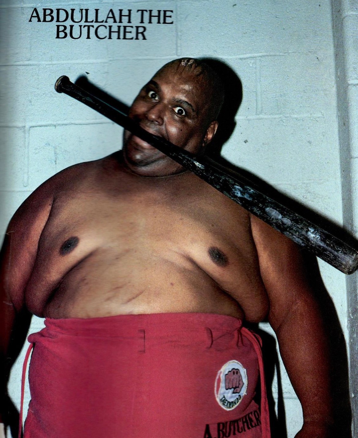 アブドーラ ザ ブッチャー Twitter Search Twitter
