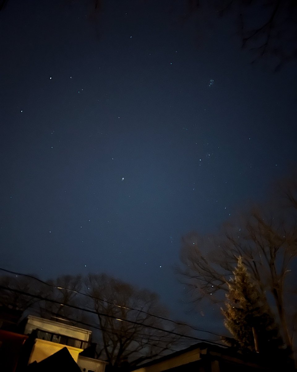 NebulousNikki's tweet photo. I am not a fan of winter, but man oh man, do I love the night sky in the season. Mars, Taurus (with Hyades), the Pleiades and Orion (lower right, through the trees). 
#Orion #astronomy #winterconstellations #pleiades #hyades #taurus https://t.co/wetu2smIbN