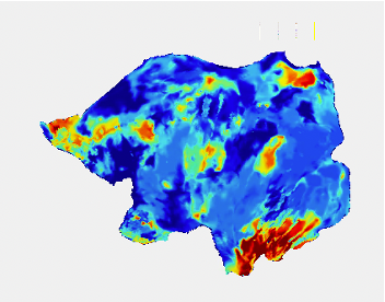 DrBreaky's tweet photo. How to perform inference on a spatial map:

1. Take your spatial map (here projection of the hippocampal AP axis onto the cortex) and flatten it https://t.co/en5uSoFPp7
