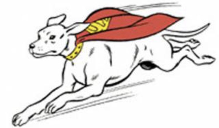 The Only Krypto worth believing in