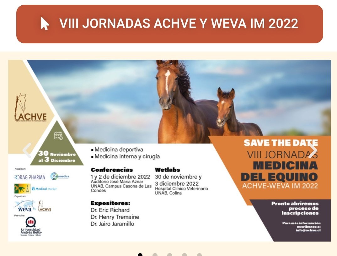 sguerravet's tweet photo. No deje de pasar esta tremenda oportunidad de educación continua con medicina equina!!! #weva #wevacongress https://t.co/CmANYOmU6n