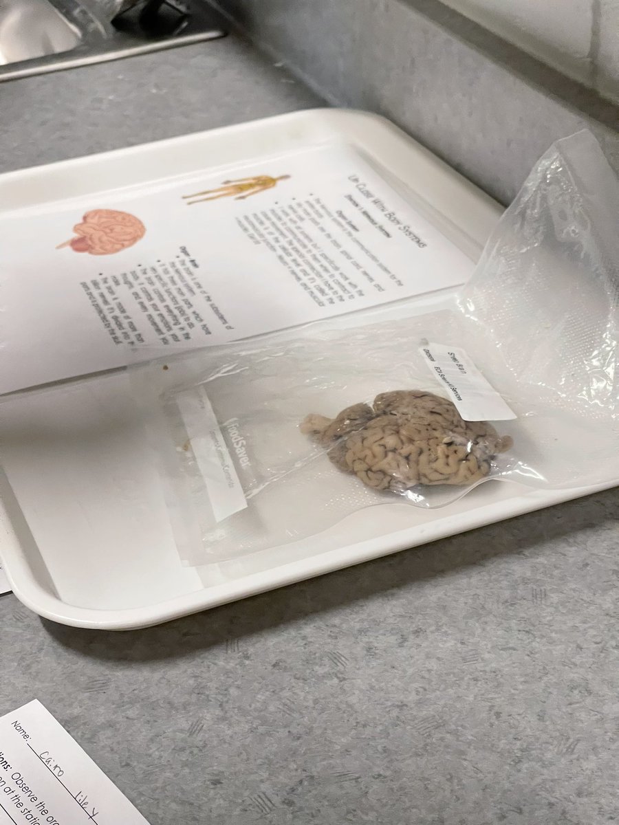 Weird science! These 7th and 8th graders are learning about body systems and subsystems!