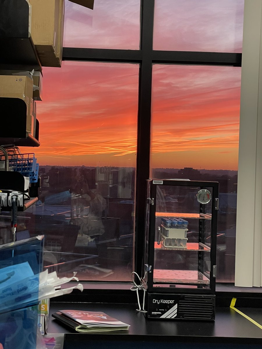 Shailaja Hegde tweet media