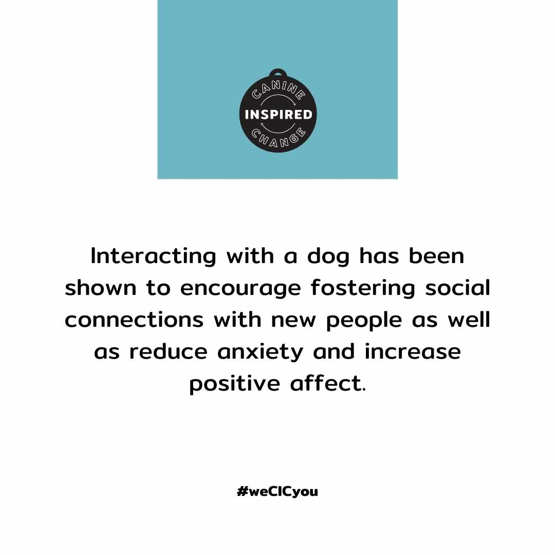 Canine Inspired Change (@CIC_TherapyDogs) / Posts / X