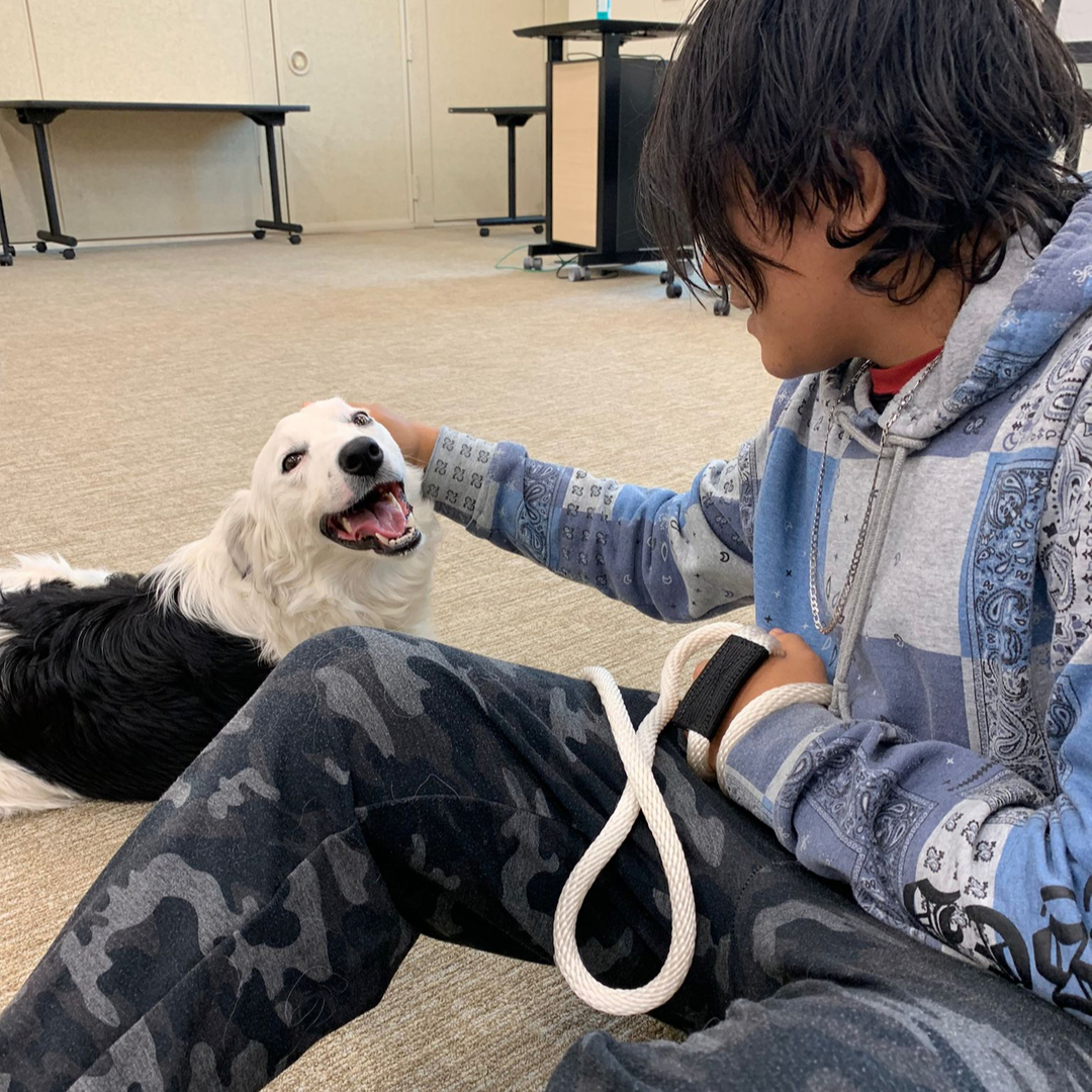 The healing power of dogs backed by science 🐾🧠

#wecicyou #youmatter #therapydogs 
REVIEWS AND RESEARCH REPORTS
Brief Unstructured Interaction with a Dog Reduces Distress
Molly K. Crossman Department of Psychology, Yale University