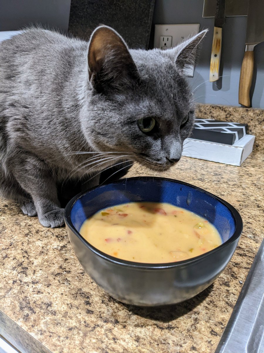 SylLovesBread's tweet photo. I steal his soup! Ha-HAH!! https://t.co/5xUCu6XbdS