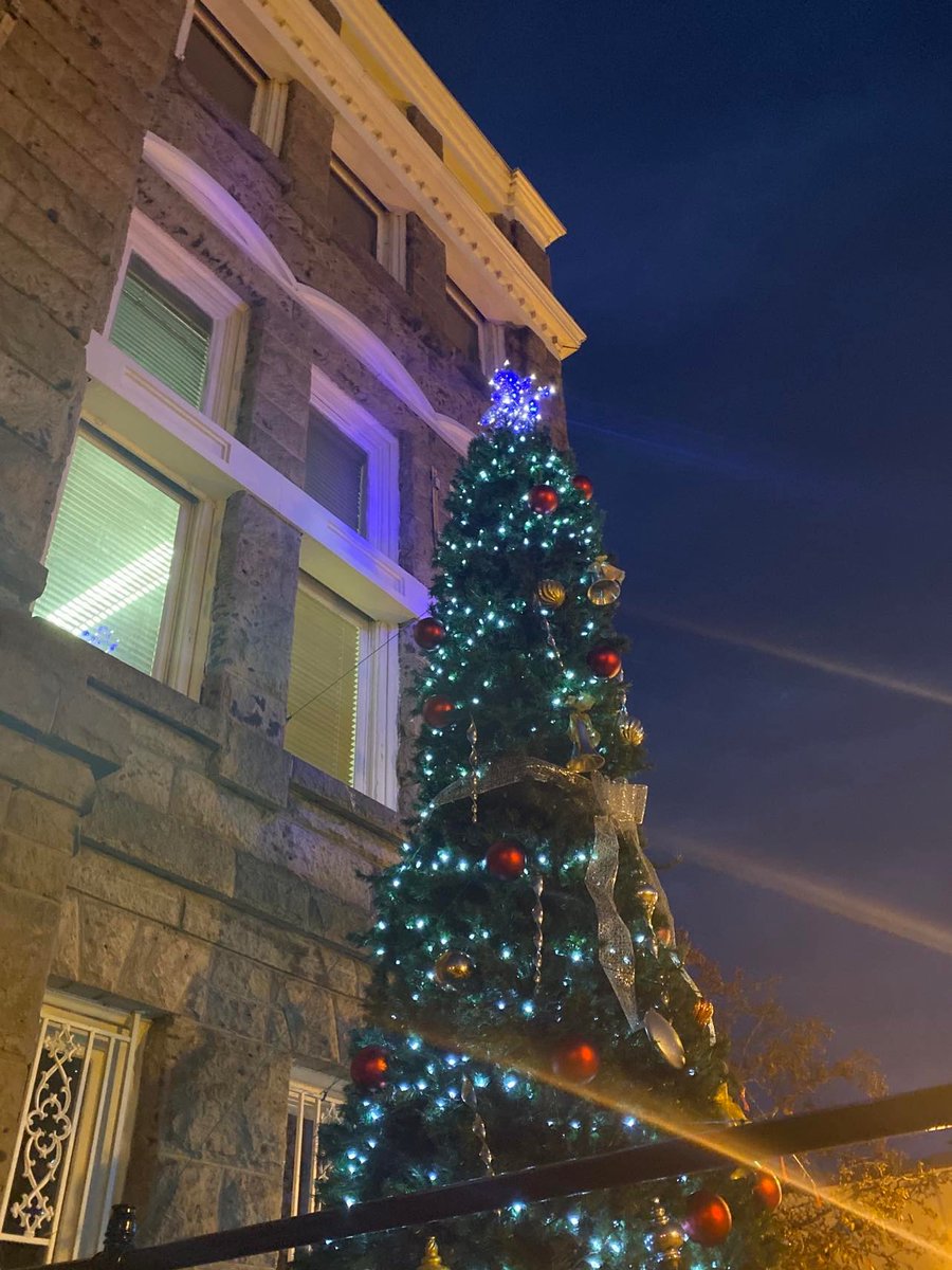 This year's Annual Festival of the Trees starts Nov 19th and runs thru Jan 8th at the Cobre Valley Center for the Arts  Stop in to get into the Holiday Spirit and view a collection of trees designed and decorated by local artisans and creatives! 
🎄🎄🎄🎄🎄🎄🎄🎄