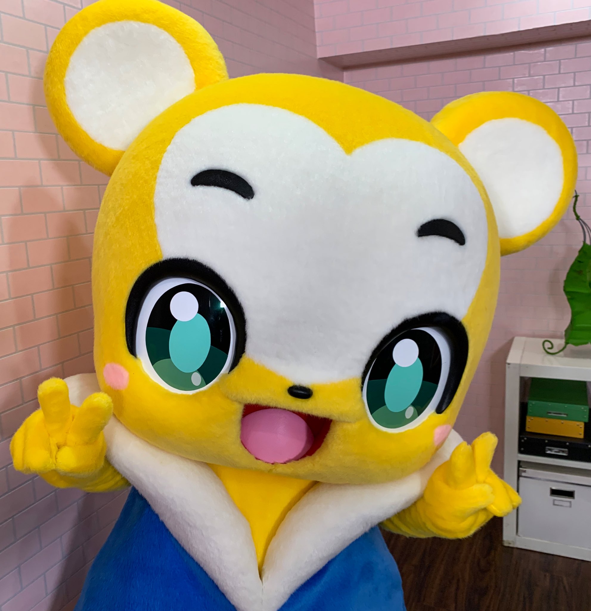 クマーバチャンネル【公式】 on Twitter