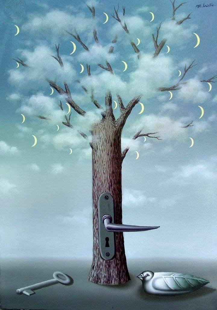 Mihai Criste
Cosmic tree