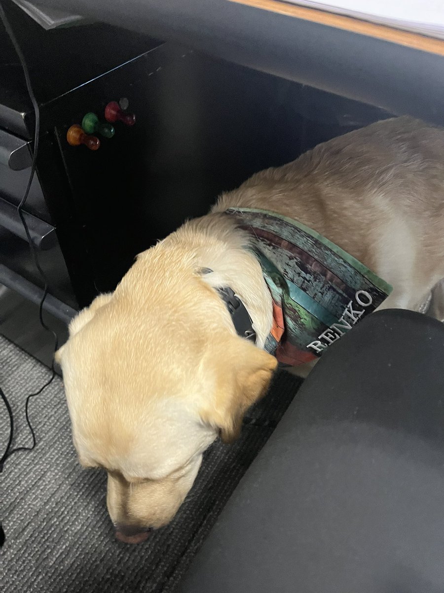 Erin Darr tweet media