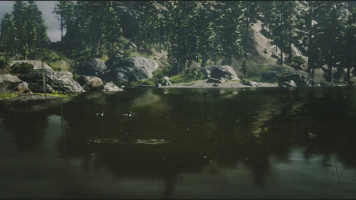 vp_photographer's tweet photo. #RedDeadOnline 
Ducks chillin' over Owanjila Lake and my horse, a silver Kladruber, Silver Shroud being photogenic during a daily.

#VirtualPhotography #VPGamers #gamingvp #WorldofVP #ingamephotography #advancedcamera #RDR2 #RDO #RedDeadRedemption2 #reddeadhorses https://t.co/aOIHrZDSbv