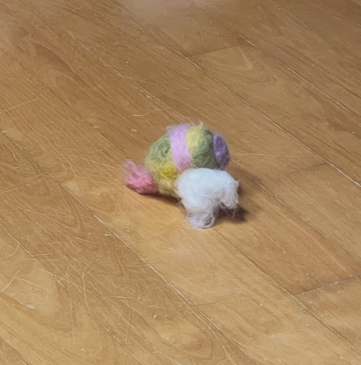 rayispretty's tweet photo. 양모펠트로 왕버섯만들어 줬더니
머리채를 다 뜯어놨네
이쁘다 우리 노봉이 https://t.co/UEzxu3JGcc