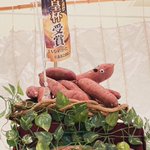 ○●○行方市観光協会○●○のツイート画像