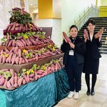 ○●○行方市観光協会○●○のツイート画像