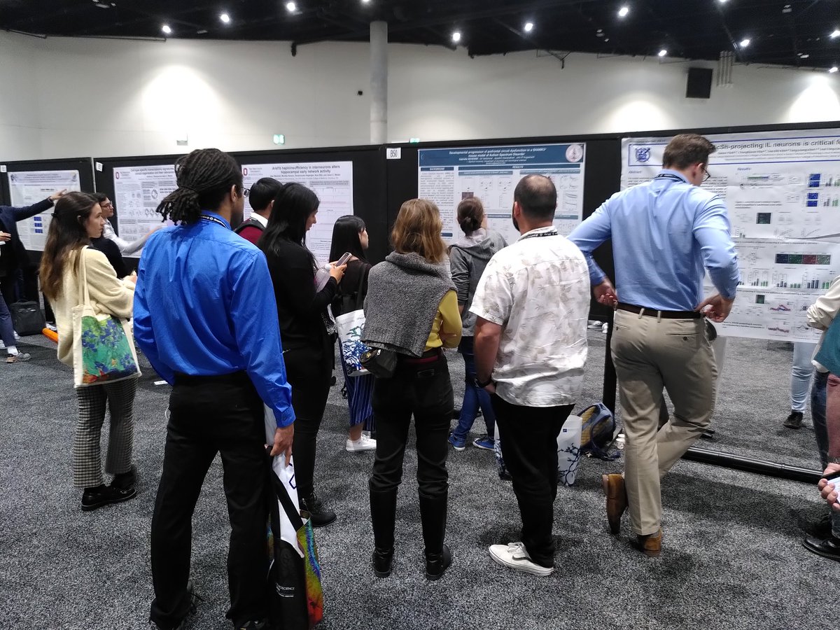 Gil Vantomme tweet media