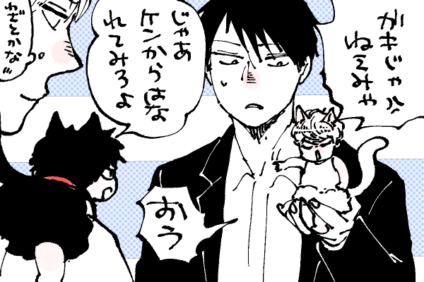 🐱キラキラにゃんこ生活
ニャクザとニャンキーの応酬🤣 