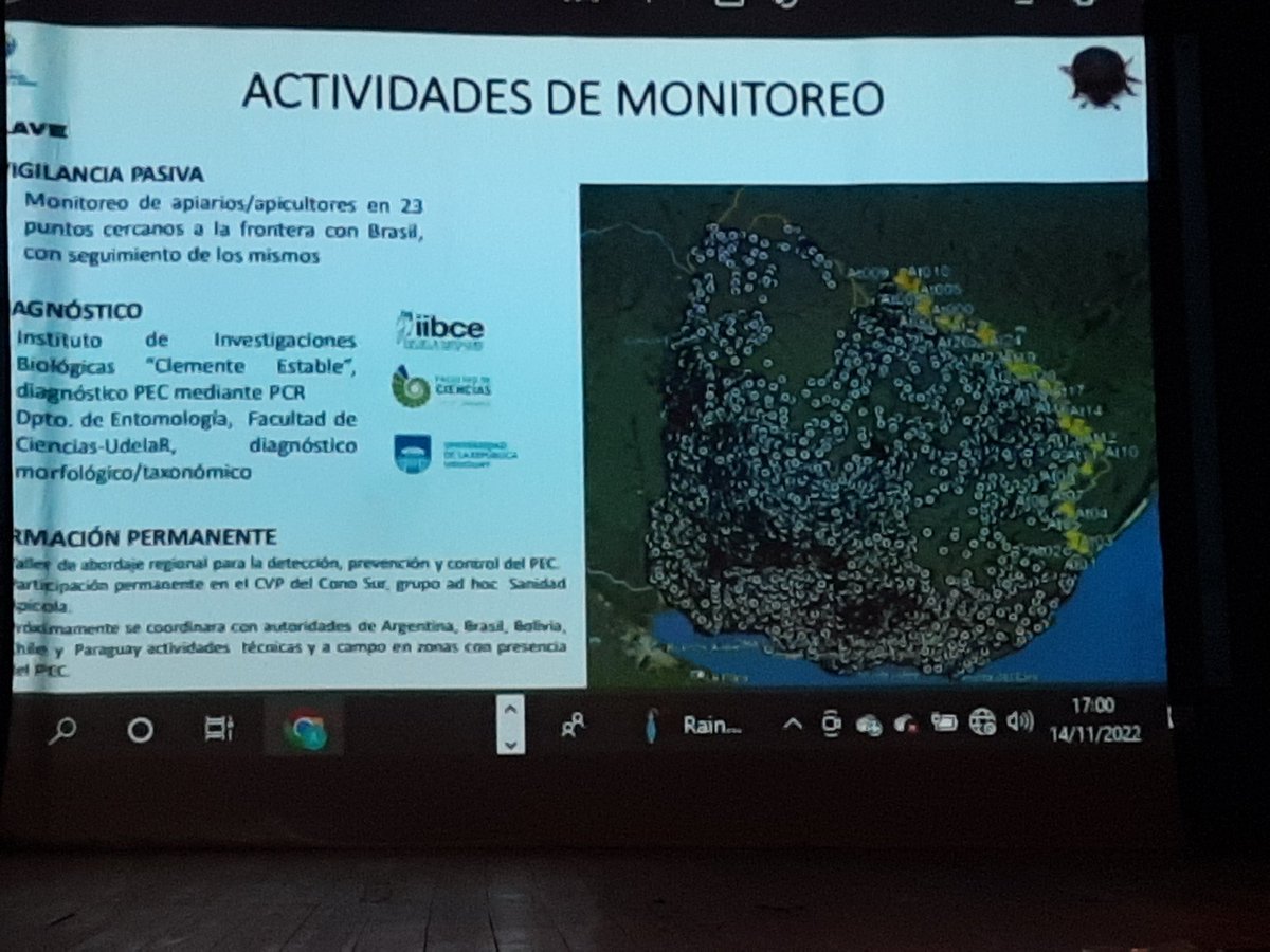 Nutritiva Jornada de Capacitación Apícola hoy en #sarandigrande. Agradecemos a todos los #apicultores y #autoridades que estubieron acompañandonos.
@MGAPUruguay
@juancampa
@imflorida
@municipiosarandigrande
@idf_sostenible
@EnzoViscailuz
@IrrazabalWilman