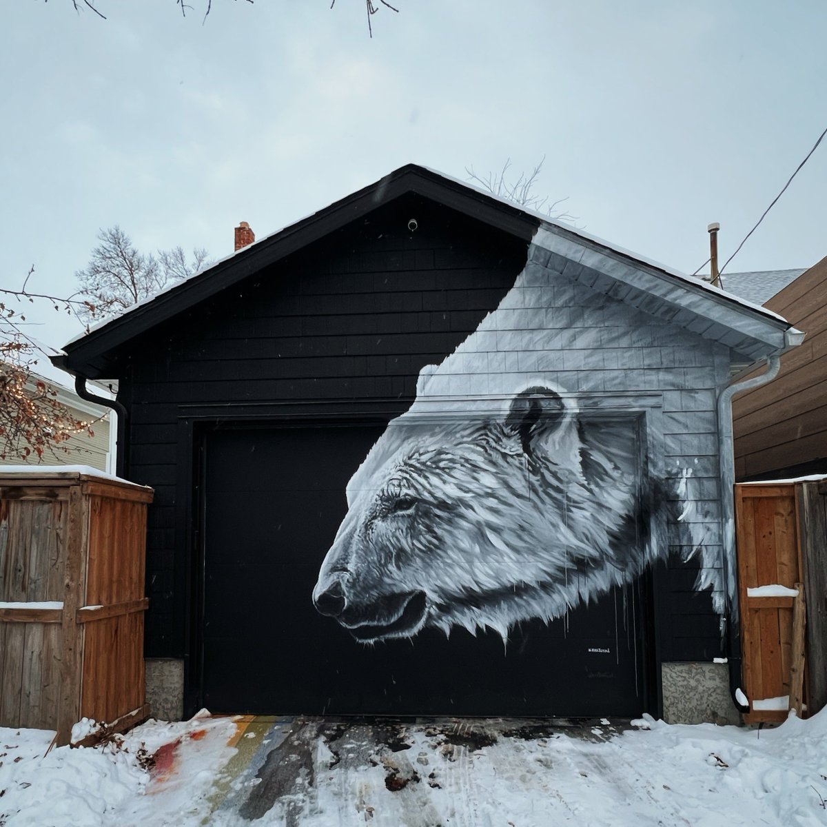 michaeljpblatz's tweet photo. back alley arctic 
#winnipeg #streetphotography #mural #publicart https://t.co/wtMr0JI4Se