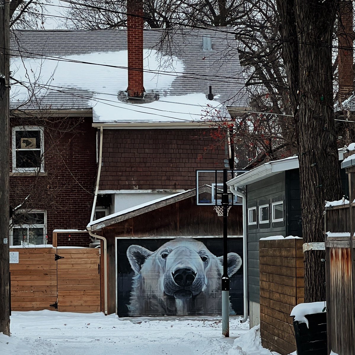 michaeljpblatz's tweet photo. back alley arctic 
#winnipeg #streetphotography #mural #publicart https://t.co/wtMr0JI4Se
