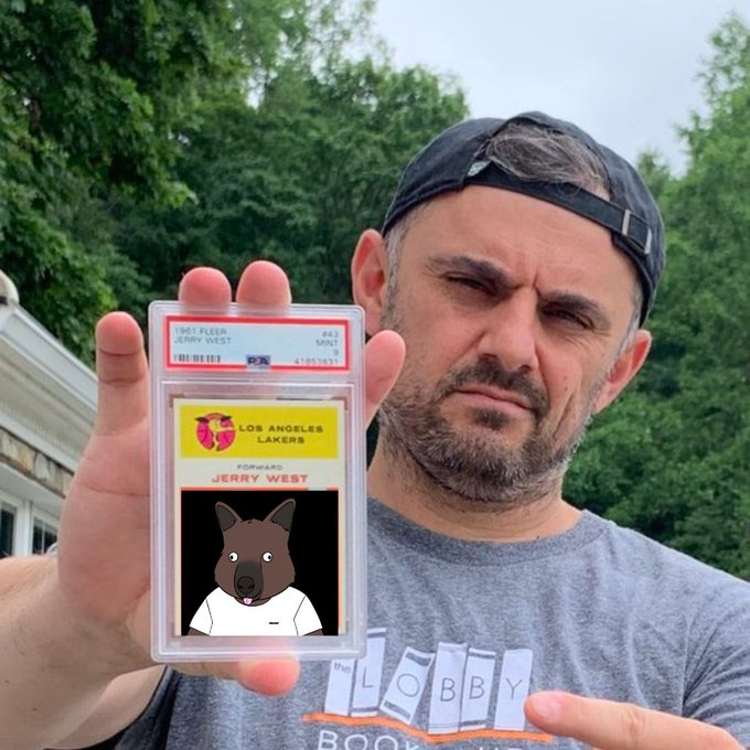 MorganStoneee's tweet photo. Tbh I've been following @garyvee for awhile &amp; @RooTroopNFT hits every point of what he deems a desirable NFT...

- Unique (Tree Kangaroos)
- Philanthropy
- Real-world value prop
- Providing immense value to holders AND non holders
- Developing innovative tech
- Consistency

!wen https://t.co/ovFnZLwqYk
