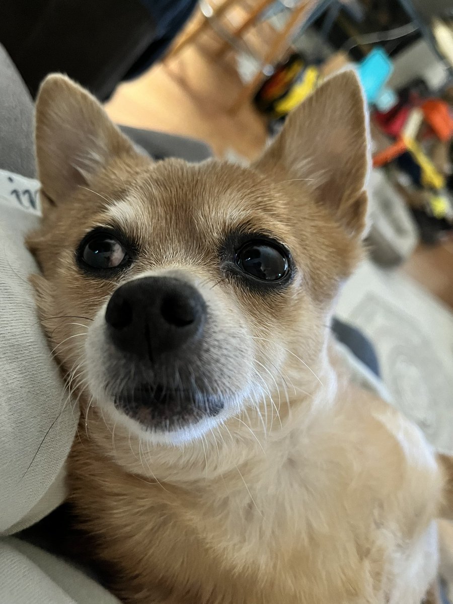 ContraBT's tweet image. 