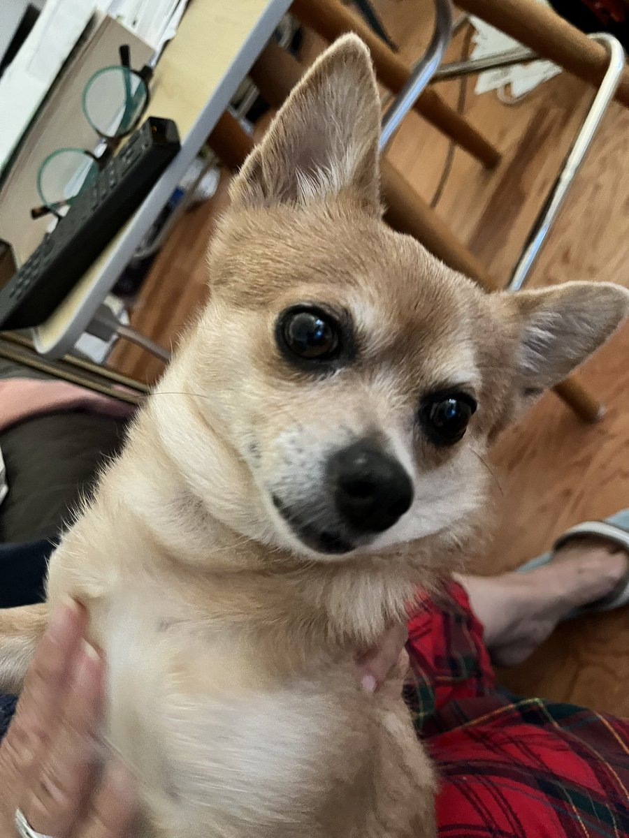 ContraBT's tweet image. 