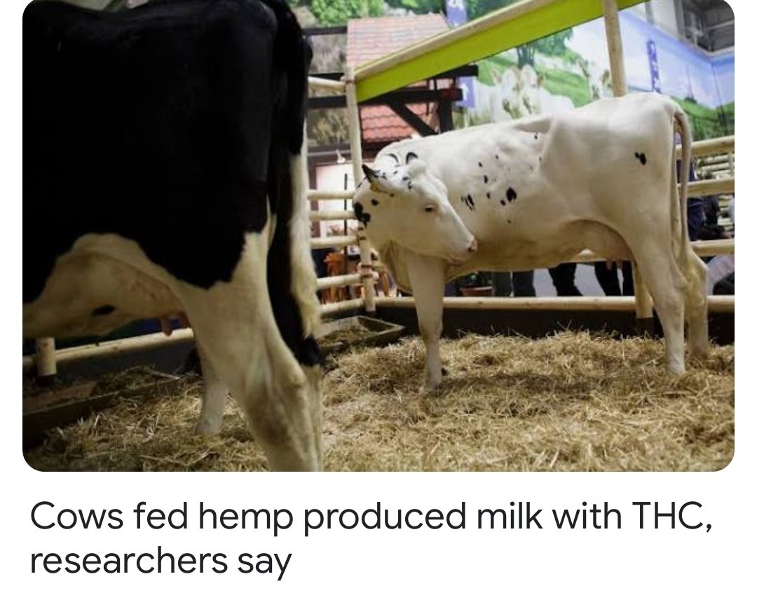 DoodPart's tweet image. Does a body good!!!