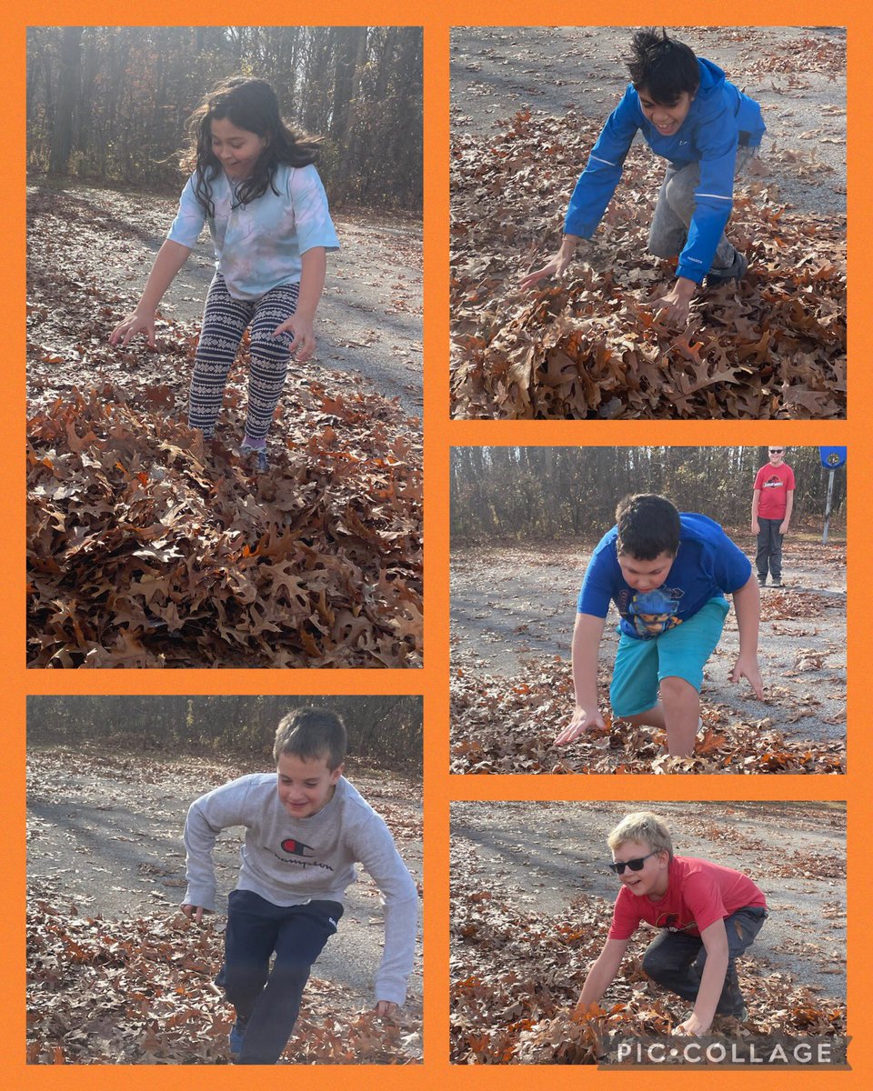 mstlewiz's tweet photo. Just a friendly reminder ……..we did have beautiful weather last week. So unbeLEAFable! #LPSGAINS @gecdsbpro @MrsLongmuir @DSW_A_Young @LPSStormWatch @TraceyRilett @KristalGrove6 https://t.co/gWQnHe9YT6