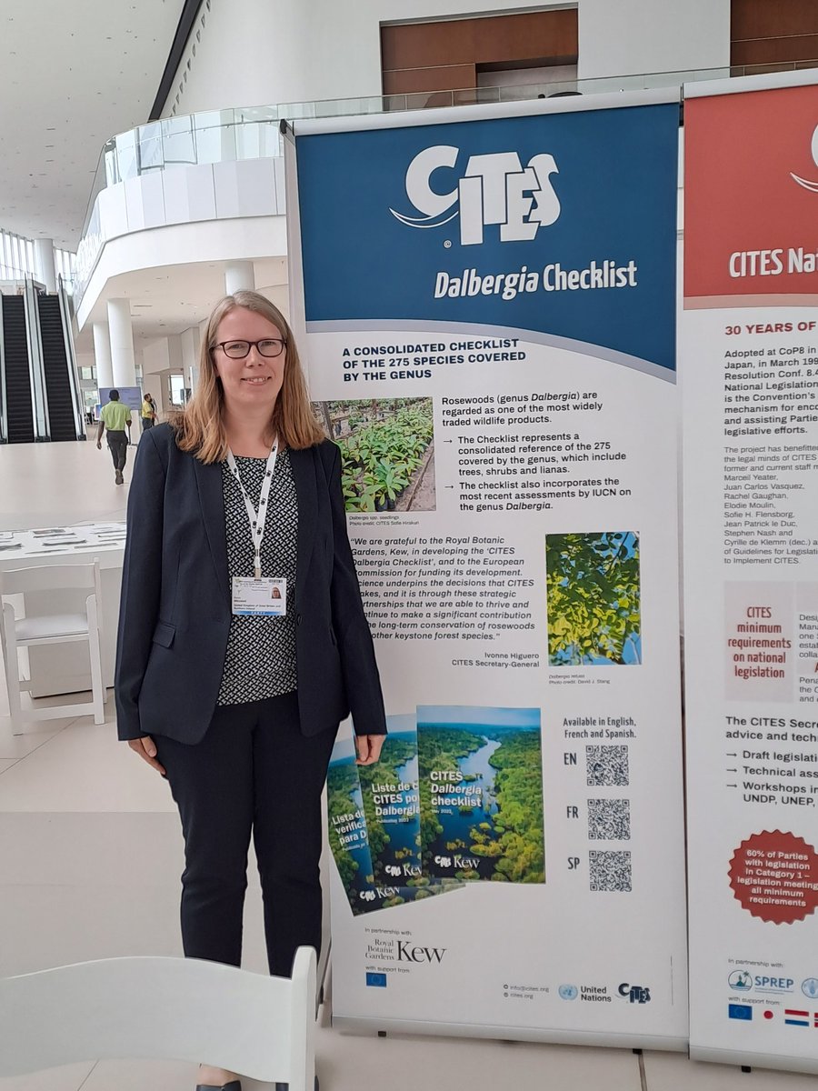 Emma Williams tweet media