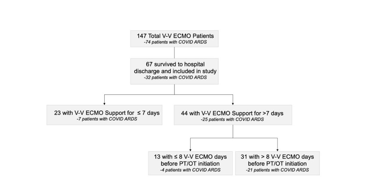 ArtifOrgans's tweet photo. Early initiation of #Physical and #OccupationalTherapy while on #ECLS improves patients’ #FunctionalActivity
#OnlineFirst👉https://t.co/SD7Lg3Nni7
@NUFeinbergMed @EmilyCerier @AdwaiyM @ViswajitKandula @AnkitBharatMD @ChitaruMd #PhysicalTherapy https://t.co/6nUh5s1orF