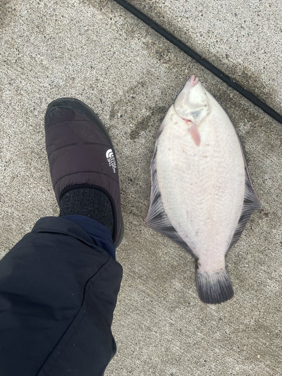 𝙨𝙖𝙞𝙩𝙤 今年の初チヌはスネコン50sで メバルのサイズ厳選中だったから アタリきた時内心ガッツポーズしたわw Blueblue スネコン50 T Co U8mlosurdp Twitter 𝙨𝙖𝙞𝙩𝙤 今年の初チヌはスネコン50sで メバルのサイズ厳選中だったから アタリきた時内心ガッツポーズしたわw Blueblue スネコン50 T Co U8mlosurdp Twitter