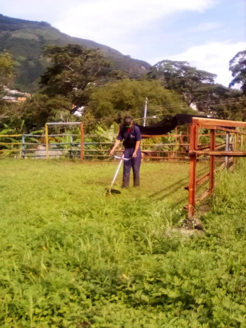 PosgradoT's tweet photo. Jornada de Desmalezamiento en la Escuela Gustavo Domínguez del Recreo, por parte del Posgrado UNERMB @CNH_Ven @NicolasMaduro @Gerardo4fPsuv @carloscontigo @alcaldiatruji_1 @Rixiorector @Tibisayunearte @mppeuniv @arbolve @ninoskaortiz25 @prensaunermb @carloscontigo @joffred69 https://t.co/3YrRgw7Gsm
