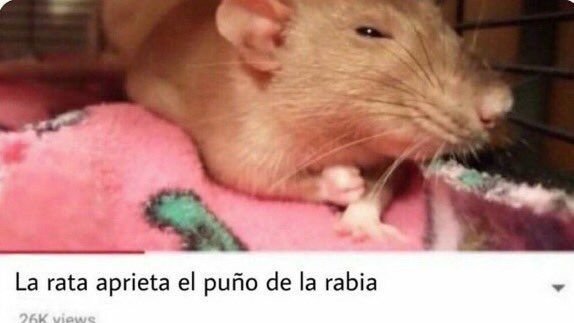 Twenty One Pilots se va a tomar un descanso. 

Yo;
