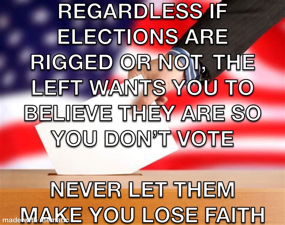 #riggedelection #KariLake