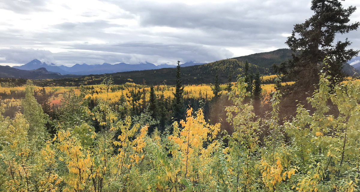 environeducate's tweet photo. Been exploring Alaska in September. Had to share the beauty. https://t.co/UKCn77alNd