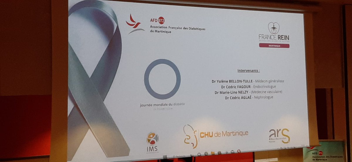 La conférence de ce jour.