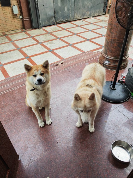 Ma'am do you have a minute to talk about... https://t.co/WOyP7FKQm1